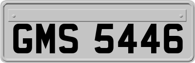 GMS5446