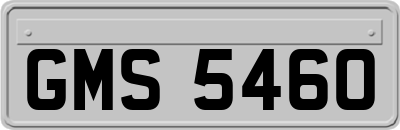 GMS5460