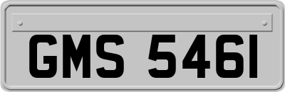 GMS5461