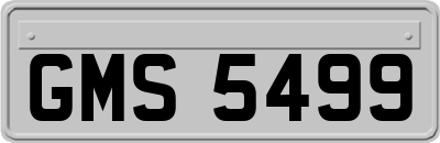 GMS5499