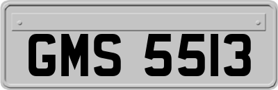 GMS5513