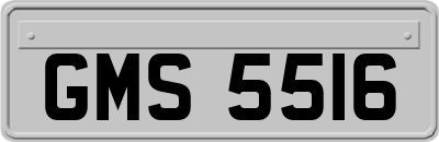 GMS5516