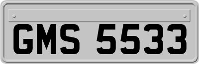 GMS5533