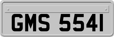 GMS5541