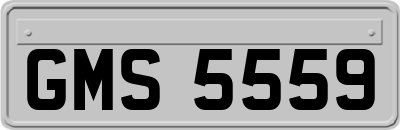 GMS5559