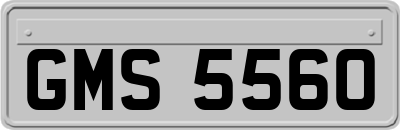 GMS5560
