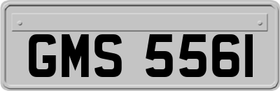 GMS5561