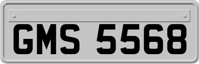 GMS5568