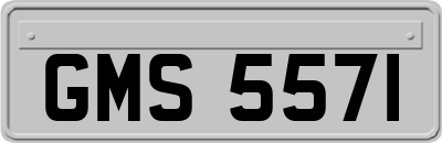 GMS5571