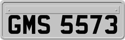 GMS5573
