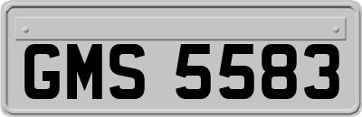 GMS5583