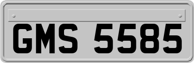 GMS5585