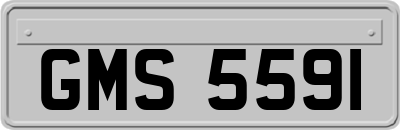 GMS5591