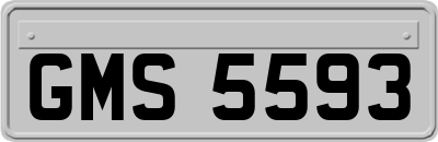 GMS5593