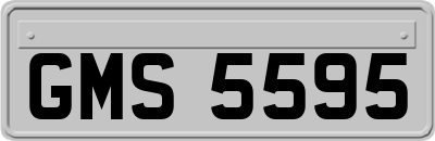 GMS5595