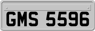 GMS5596