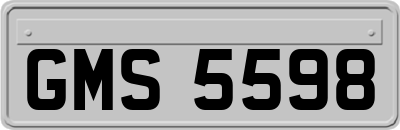 GMS5598