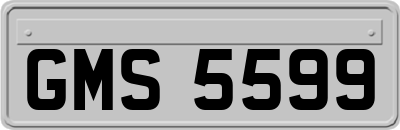 GMS5599