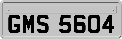 GMS5604