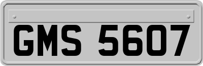 GMS5607