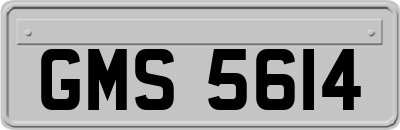 GMS5614