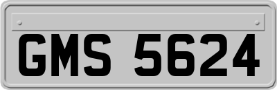 GMS5624