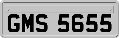 GMS5655