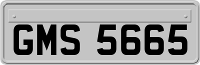 GMS5665