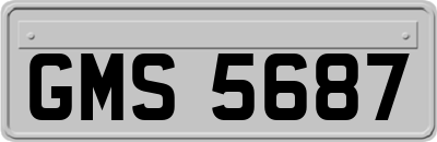 GMS5687