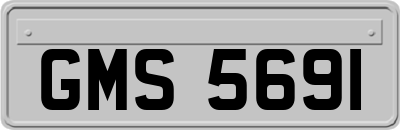 GMS5691