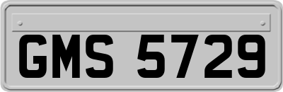 GMS5729