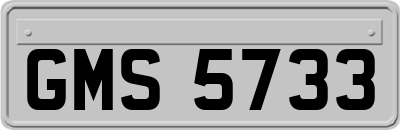 GMS5733
