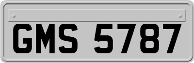 GMS5787