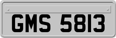 GMS5813