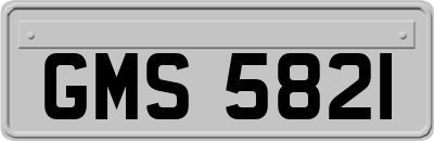 GMS5821