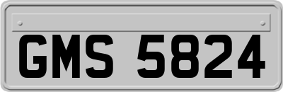 GMS5824