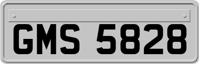 GMS5828