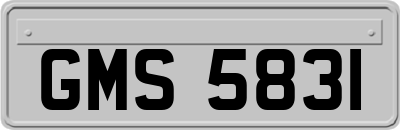 GMS5831