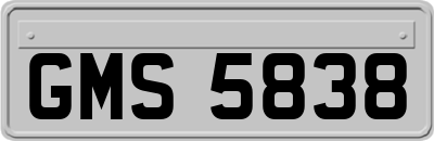 GMS5838