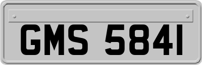 GMS5841