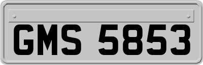 GMS5853