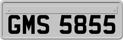 GMS5855