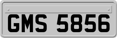GMS5856