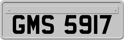 GMS5917