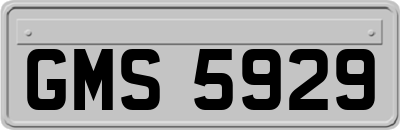 GMS5929