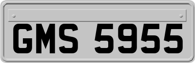 GMS5955