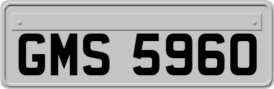GMS5960