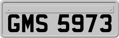 GMS5973
