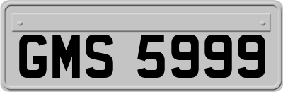 GMS5999