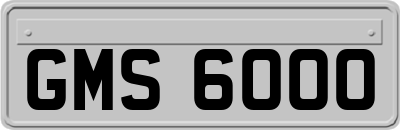 GMS6000